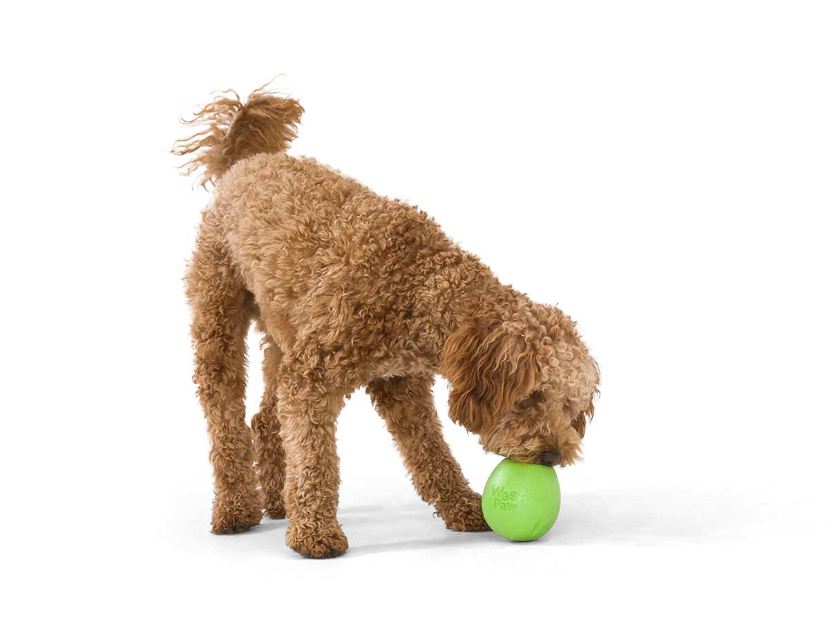 WEST PAW RUMBL® Treat Dispensing Dog Toy