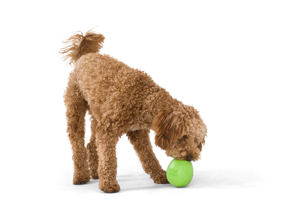 WEST PAW RUMBL® Treat Dispensing Dog Toy