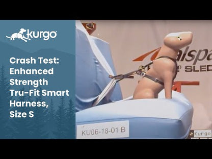 Video: Crash test with KURGO® Enhanced Strength Tru-Fit Dog Car Harness, size S