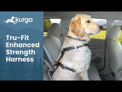 Video: How to Use the KURGO® Enhanced Strength Tru-Fit Dog Car Harness