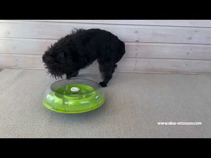 Video - Nina Ottosson Wobble Bowl puzzle game for dogs