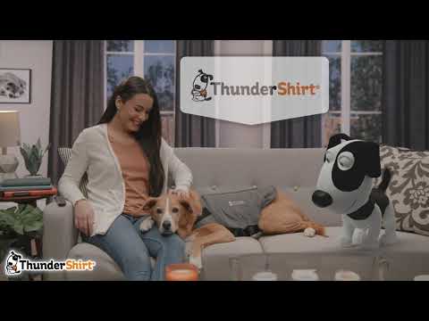 Video - How to put on a THUNDERWORKS THUNDERSHIRT® for Dogs