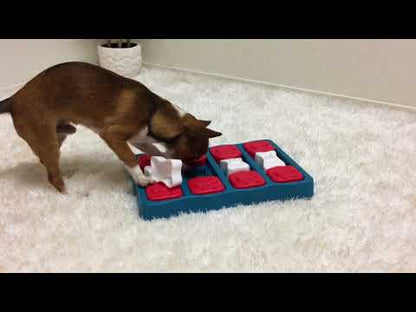 Video - Nina Ottosson Dog Brick puzzle game