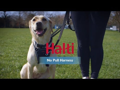 Video - How to fit and use Halti No Pull Harness