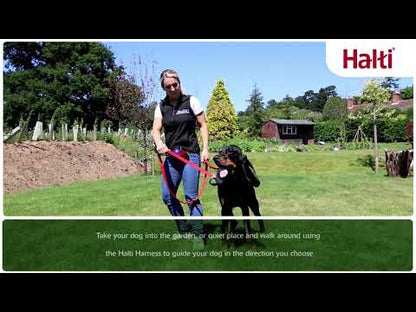 Video - No Pull Training Your Dog with the Halti Front Control Harness