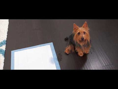 Video - PETSAFE® Pet Loo®