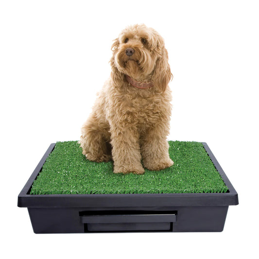 PETSAFE® Pet Loo® 