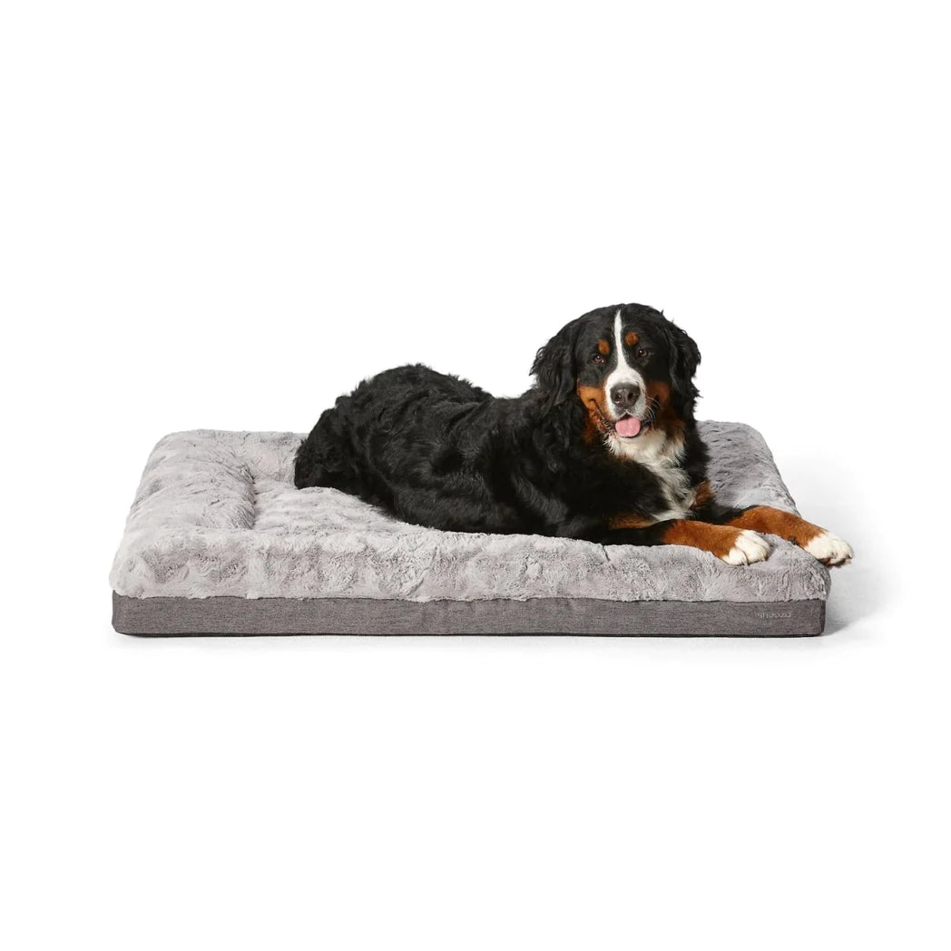 SNOOZA Ultra Comfort Lounge with Bernese Mountain Dog